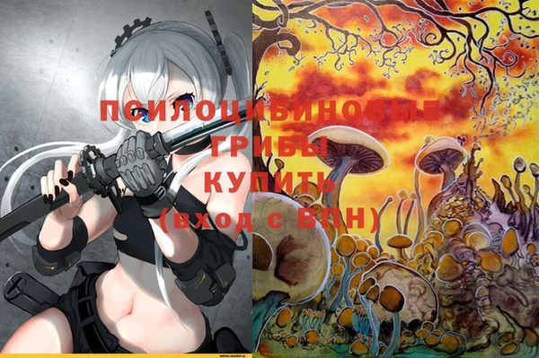 амф Балахна