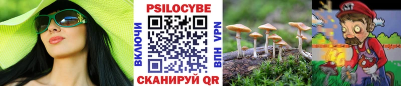 Купить закладки Десногорск Галлюциногенные грибы MAGIC MUSHROOMS